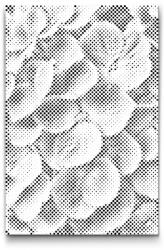  PontPöttyöző - Hortenzia Méret: 20x30cm, Keretezés: Műanyagtáblával, Szín: Piros