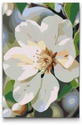  Festés számok szerint - Almavirág Méret: 40x60cm, Keretezés: Műanyagtáblával