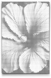  PontPöttyöző - Hibiszkusz Méret: 40x60cm, Keretezés: Kartonlemezen, Szín: Piros