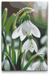  Festés számok szerint - Hóvirág Méret: 40x60cm, Keretezés: Keret nélkül (csak a vászon)