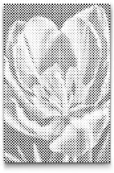  PontPöttyöző - Tulipán Méret: 20x30cm, Keretezés: Keret nélkül (csak a vászon), Szín: Fekete