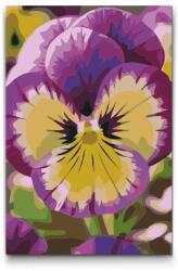  Festés számok szerint - Árvácska Méret: 20x30cm, Keretezés: Műanyagtáblával