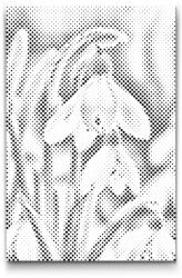  PontPöttyöző - Hóvirág Méret: 20x30cm, Keretezés: Keret nélkül (csak a vászon), Szín: Kék