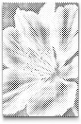 PontPöttyöző - Muskátli Méret: 20x30cm, Keretezés: Keret nélkül (csak a vászon), Szín: Piros