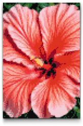  Gyémántszemes kirakó - Hibiszkusz Méret: 40x60cm, Keretezés: Keret nélkül (csak a vászon), Gyémántok: Négyzet alakú