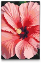  Festés számok szerint - Hibiszkusz Méret: 20x30cm, Keretezés: Keret nélkül (csak a vászon)