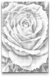  PontPöttyöző - Rózsa Méret: 20x30cm, Keretezés: Keret nélkül (csak a vászon), Szín: Fekete