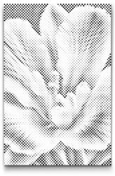  PontPöttyöző - Frézia Méret: 20x30cm, Keretezés: Keret nélkül (csak a vászon), Szín: Zöld