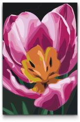  Festés számok szerint - Tulipán Méret: 20x30cm, Keretezés: Kartonlemezen