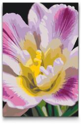  Festés számok szerint - Frézia Méret: 40x60cm, Keretezés: Keret nélkül (csak a vászon)