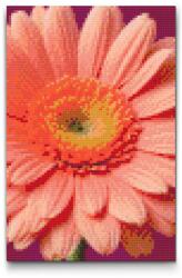  Gyémántszemes kirakó - Gerbera Méret: 40x60cm, Keretezés: Műanyagtáblával, Gyémántok: Kerek