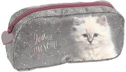 PASO Penar școlar Paso Cat - Cu pisic (PP24AW-004) Penar
