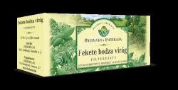 Herbária Bodzavirág FilterTea 25X