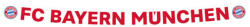 Amscan Girland - FC Bayern München