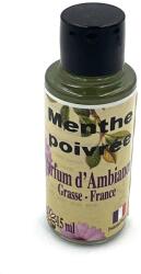 Zen Arome Extract de Parfum Aromaterapie Menta 15ml (EDP-MENTH)
