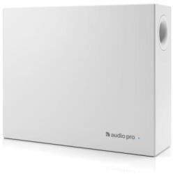 Audio Pro Business SUB-1