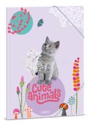 Ars Una Cute Animals-Kitten 24 (5368) A4 gumis mappa (ARS_UNA_50213689) (ARS_UNA_50213689)