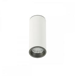 Italux Moldes Medium WH/GR Ceiling 4000K - IT-SLC7391/7W 4000K WH+GR /KIFUTÓ! ! / (IT-SLC7391_7W_4000K_WH_GR)