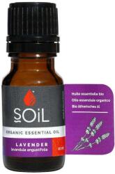 Ulei Esential Lavanda Pur 100% organikus , 10 ml, SOiL (DR1480)