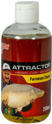 Benzár Mix Aromakoncentratum Parmezan Sajt 250ml (94008-200)