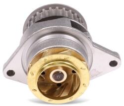 HEPU P558 Pompă de apă, răcire motor
