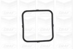 GRAF PA893 Pompă de apă, răcire motor