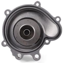 HEPU P1511 Pompă de apă, răcire motor