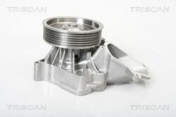 TRISCAN Pompă de apă, răcire motor TRISCAN 8600 11014