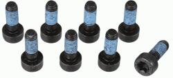 SACHS Set surub, volanta SACHS 1874 000 073 (1874 000 073)