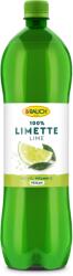 Rauch limelé 1l 100%