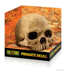 Hagen/Exo-Terra Exo-Terra Primate Skull - főemlős koponya formájú búvóhely hüllők részére (12cm)