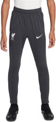 Nike LFC Y NK DF ACDPR PANT KPZ ESN Nadrágok fq2769-060 Méret XS (122-128 cm)