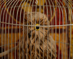  VarázsVilág Maraton | 135 perc