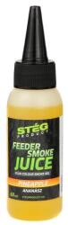 STÉG Stég feeder smoke juice pineapple 60ml (SP025001) - nextfish