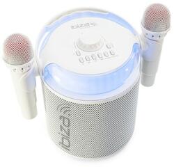 Ibiza Sound KARAHOME Aktív hangfal