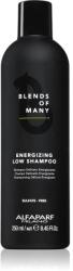 ALFAPARF Milano Blends of Many Energizing sampon energizant pentru par fin 250 ml