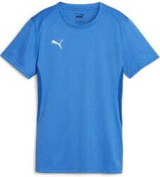 PUMA Bluza Puma teamGOAL Jersey W 658638-02 Marime XXL (658638-02)