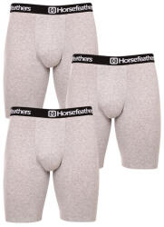 Horsefeathers 3PACK boxeri bărbați Horsefeathers Dynasty long (AM195C) XXL (170681)