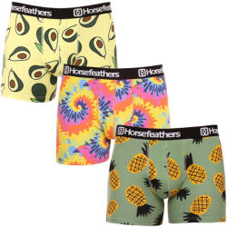 Horsefeathers 3PACK boxeri bărbați Horsefeathers Sidney (AM164DGK) XL (179154)