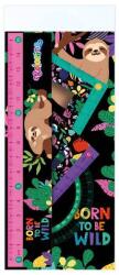 COOLPACK Colorino 4 db-os vonalzó szett - Lajháros (22129PTR)