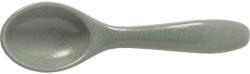 COSTA NOVA Pacifica Lingură asiatică 157 mm, verde Tacam