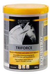 EQUISTRO Triforce 600g - webshop