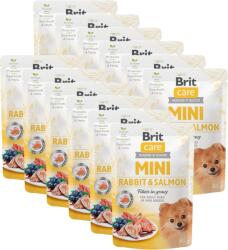 Brit Care Mini fileuri în sos de iepure și somon 12x85g