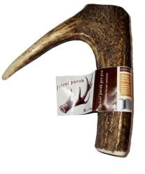  ABC-ZOO Corn de cerb pentru mestecat pentru câine XL