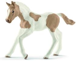Schleich Pet - rasa Paint Paint (OLP102613886) Figurina