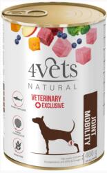 4Vets NATURAL 4Vets Kutya ízületi mobilitás 400 g