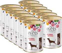 4Vets NATURAL 4Vets Kutya ízületi mobilitás 12x400g