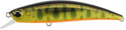 Duo SPEARHEAD RYUKI 80SP 8cm 5.6gr MCC4084 Gold Yamame (DUO95465) - koi-farm