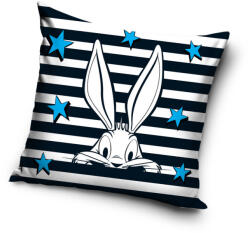  Looney Tunes párnahuzat 45x45 cm (LT195012)