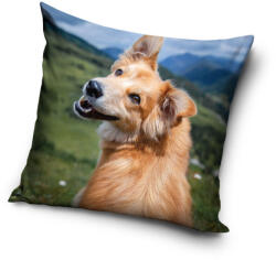  Kutyás párnahuzat 40x40 cm (PNL231194)